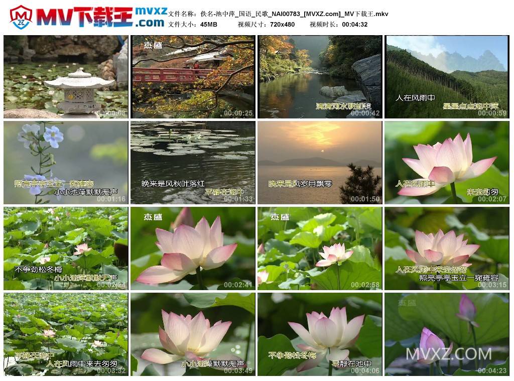 佚名-池中萍_国语_民歌_NAI00783
